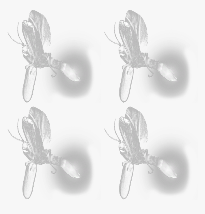 Monochrome, HD Png Download