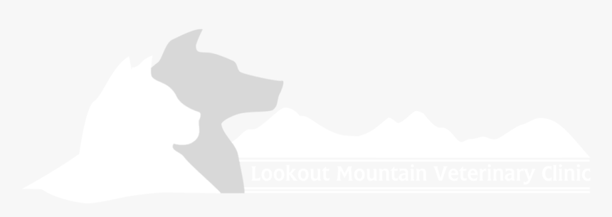 Veterinary Clinic - Graphic Design, HD Png Download