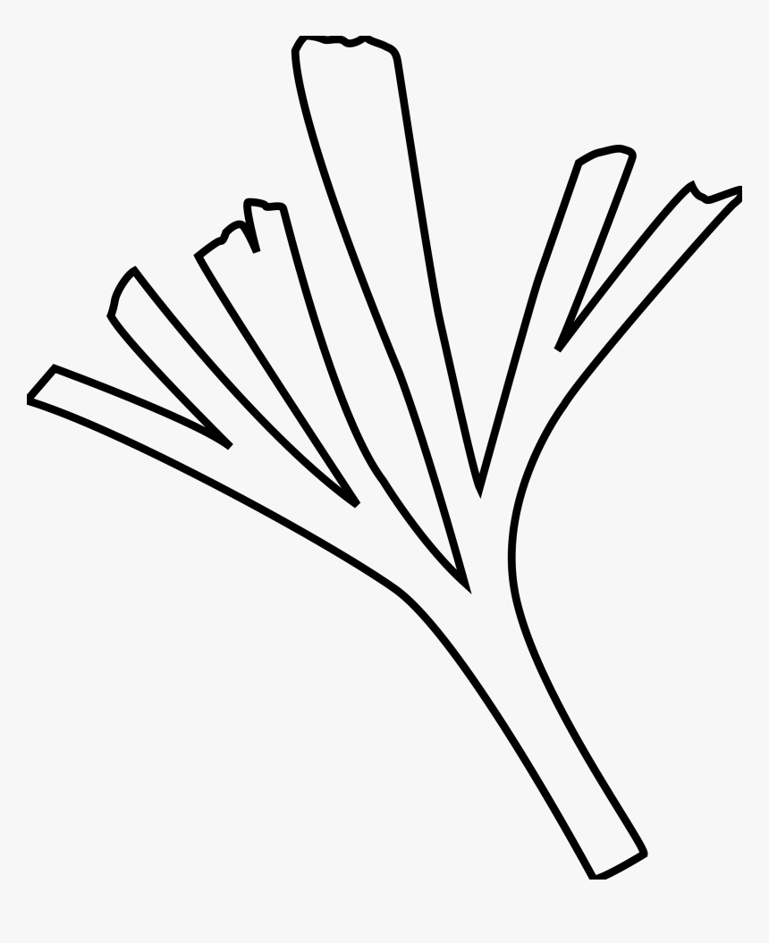 Baiera Clip Arts - Baiera, HD Png Download