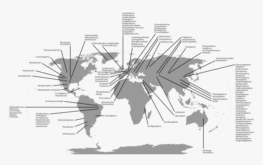 Pterosaur Fossil Distribution Map - World Map Vector Png Grey, Transparent Png