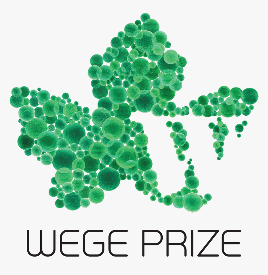 Wege Prize, HD Png Download