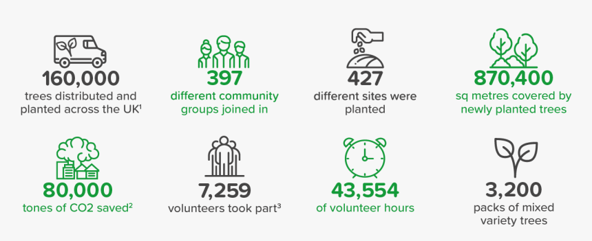 Here S A Summary Of What Went Down Last Tree Planting - Graphic Design, HD Png Download