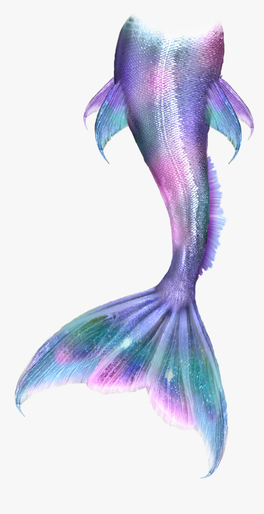 #mermaidtail #mermaid #colorful #pink #purple #green - Mermaid Tail Anime, HD Png Download