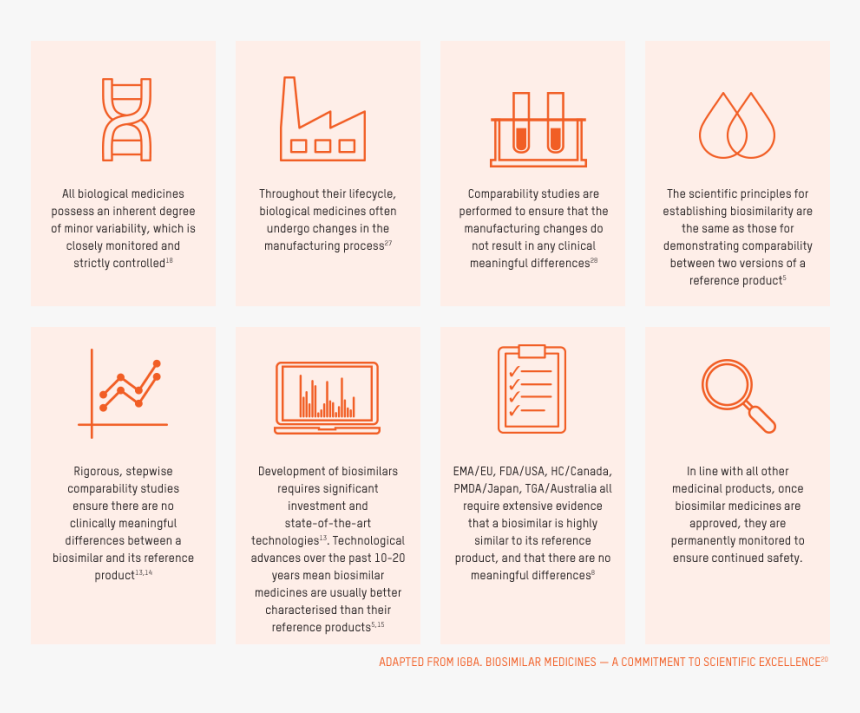 Brochure, HD Png Download