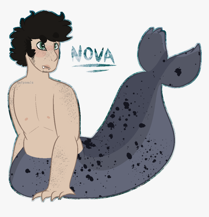 But He’s Seal - Cartoon, HD Png Download