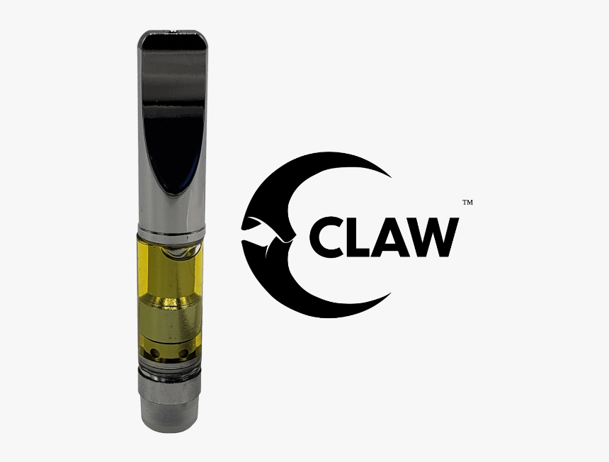 Torch, HD Png Download