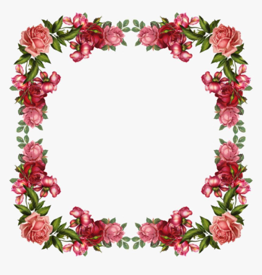 Images border img