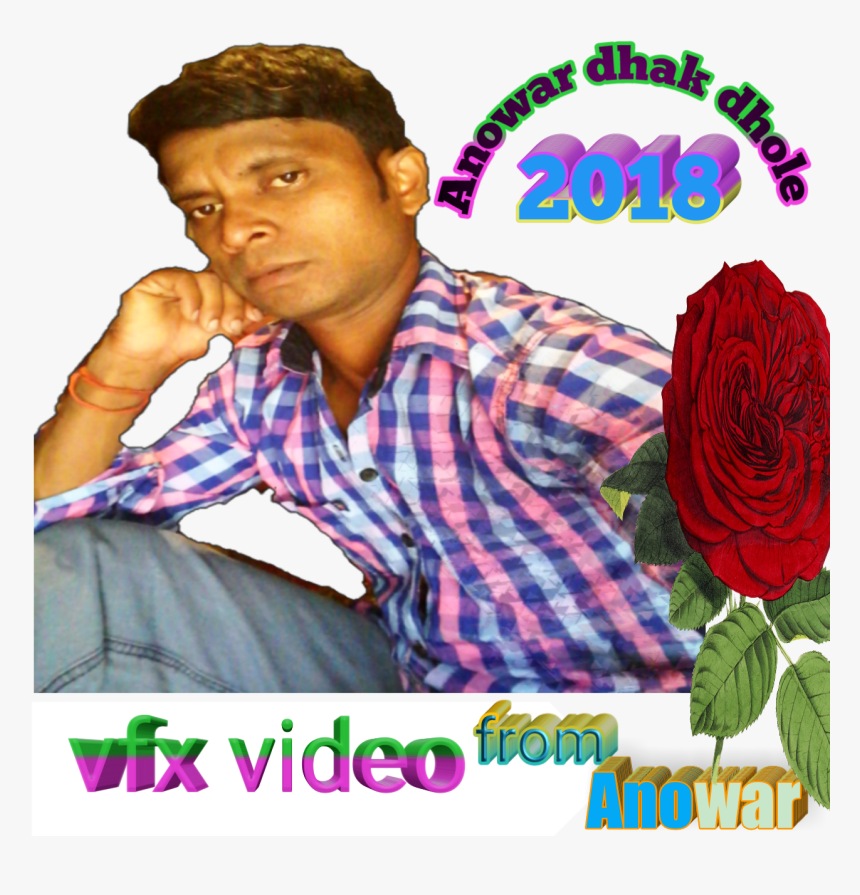 Anowar Dhak Dhole - Garden Roses, HD Png Download