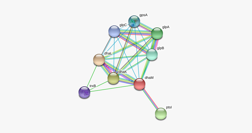 Dham Protein - Circle, HD Png Download
