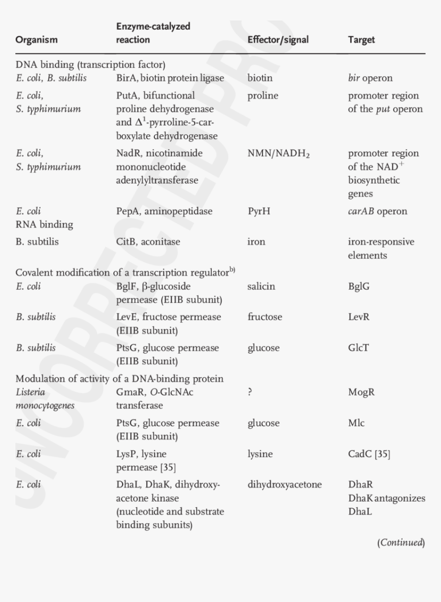 Screenshot, HD Png Download