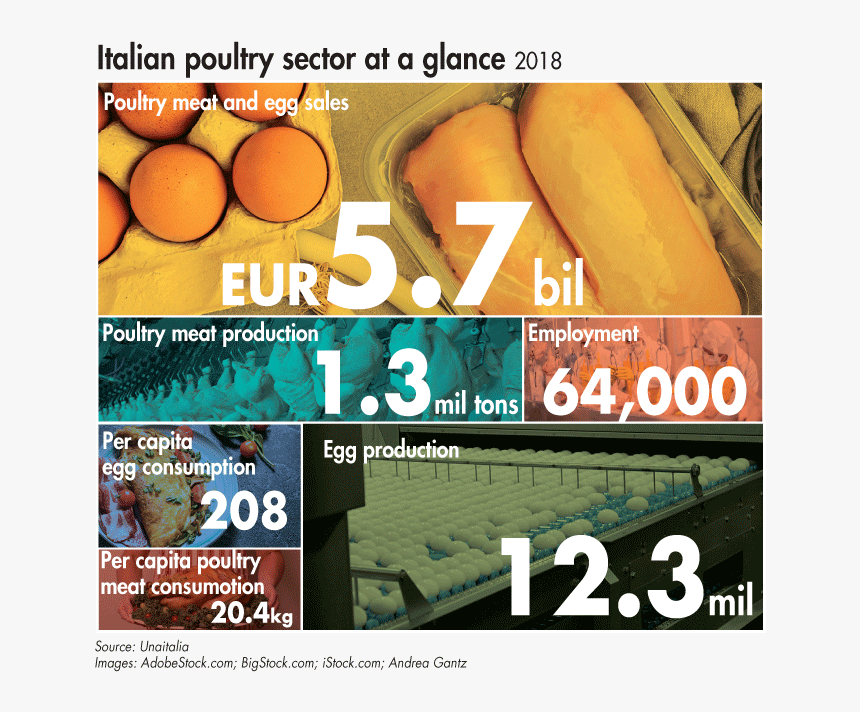 Poster, HD Png Download