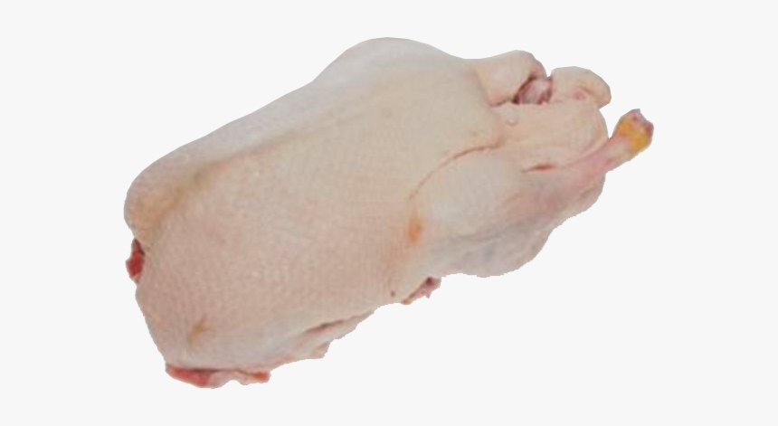 Fresh Meat Duck, HD Png Download
