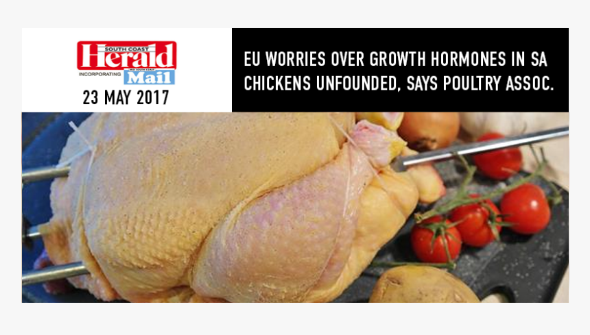 Chicken, HD Png Download