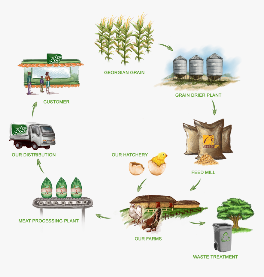 Illustration, HD Png Download