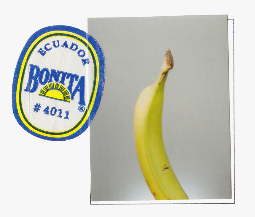 Bonita Bananas, HD Png Download