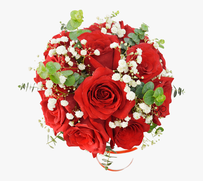 Floribunda, HD Png Download