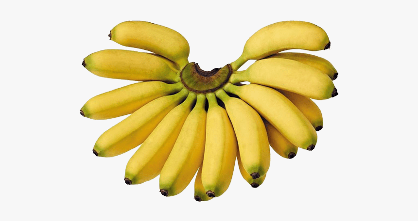 Lady Finger Banana Fruit, HD Png Download