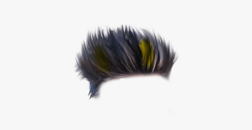 Full Hd Hair Png - Hog Nosed Skunk, Transparent Png