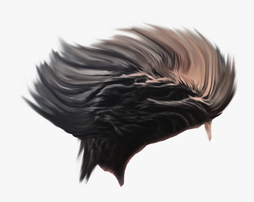 Hair Png For Photoshop, Transparent Png