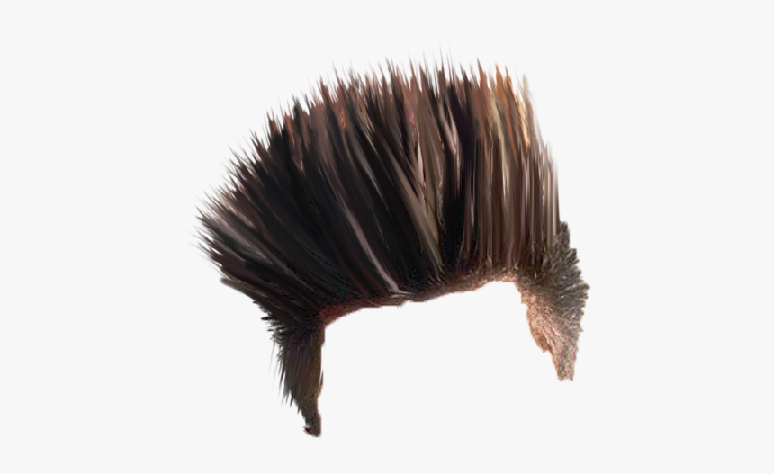 Punxsutawney Phil, HD Png Download