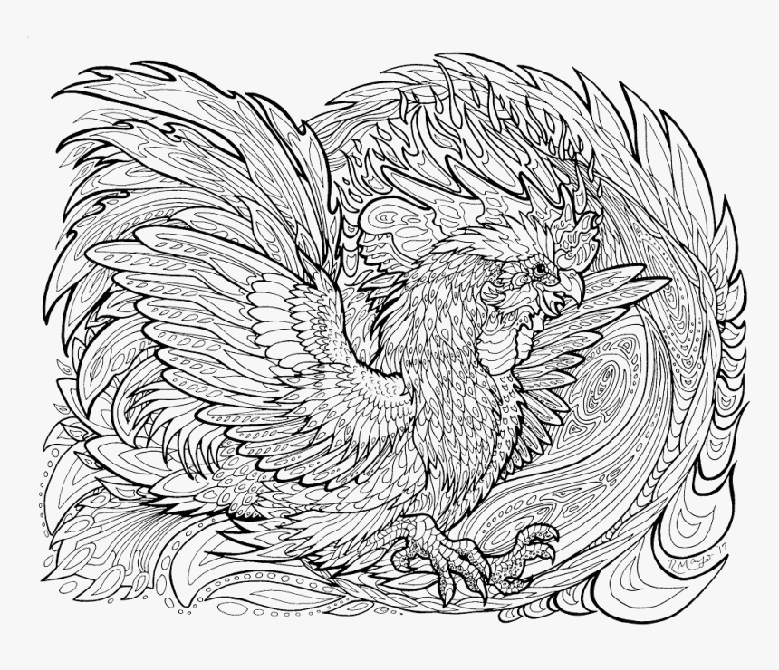 Colour Blast Lineart - Phoenix Lineart, HD Png Download
