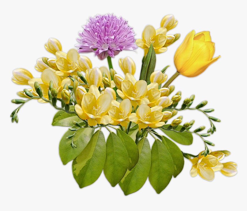Flowers, Bouquet, Posy, Freesia, Tulip, Composition - Bouquet Of Tulip Transparent, HD Png Download
