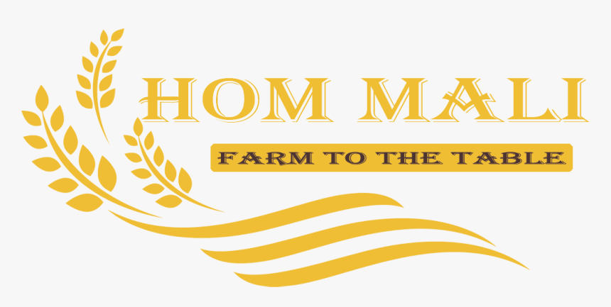 Graphic Design, HD Png Download