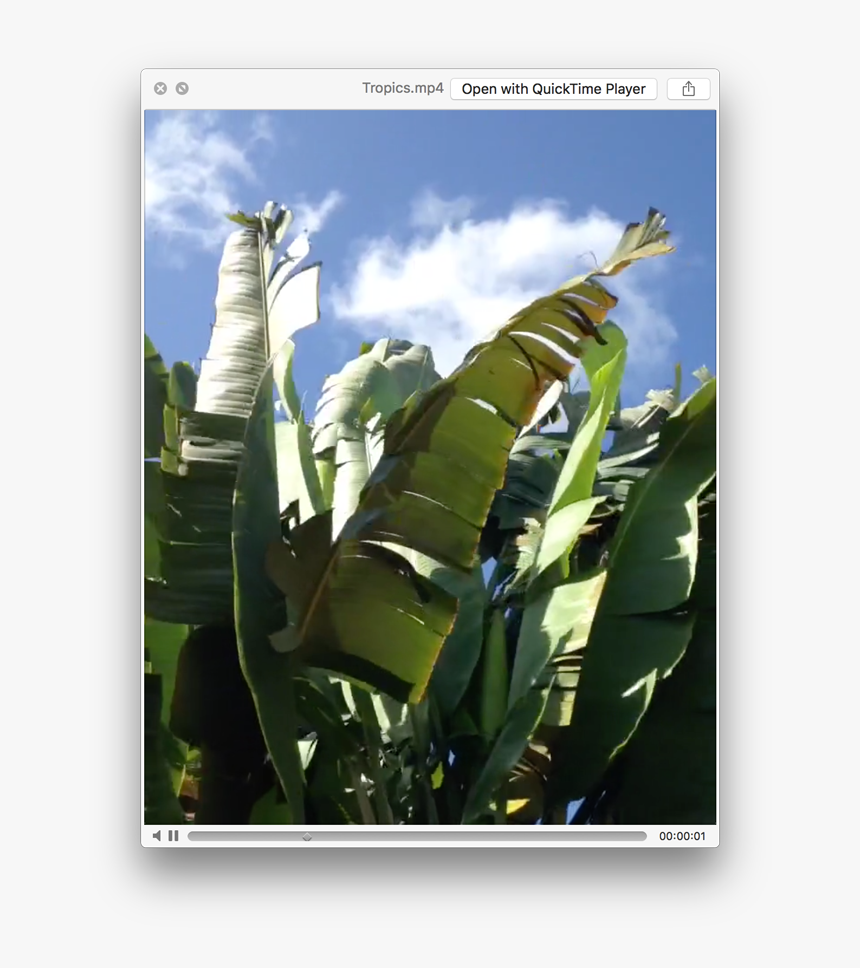 Plantation, HD Png Download