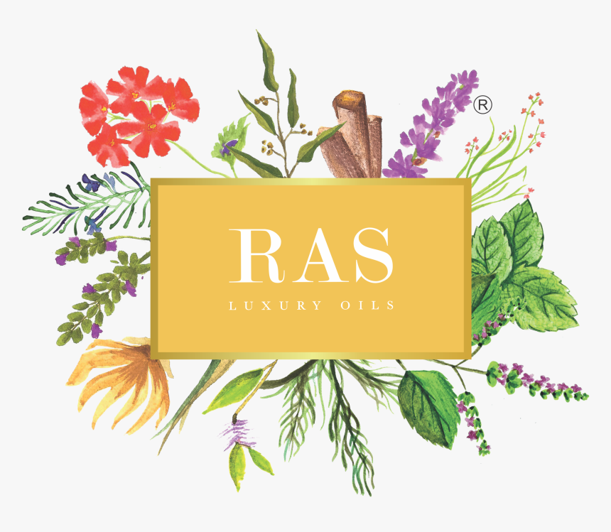 Ras Argan Oil Price, HD Png Download