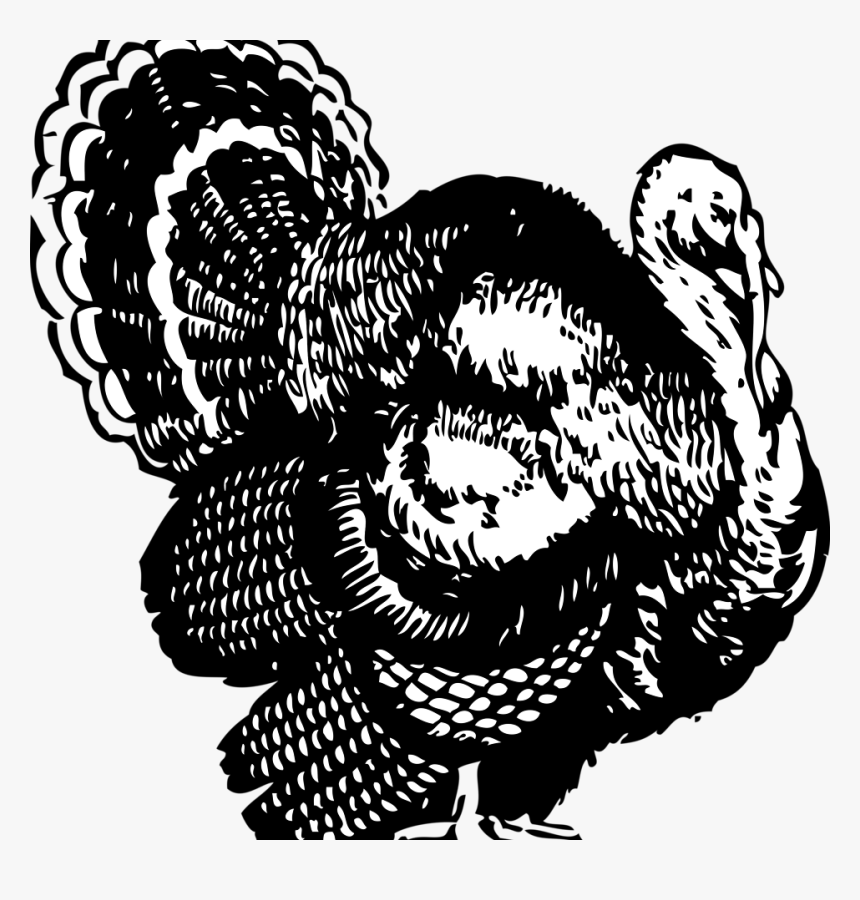 Shoot Em In The Pecker Shirt, HD Png Download