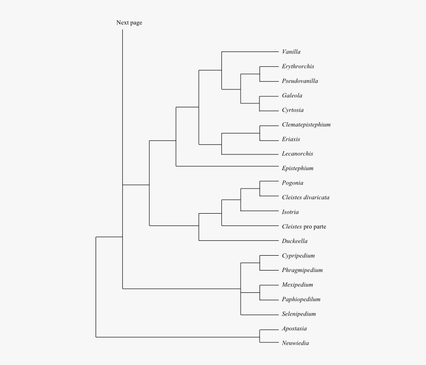 Diagram, HD Png Download