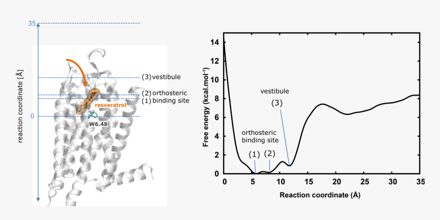 Screenshot, HD Png Download