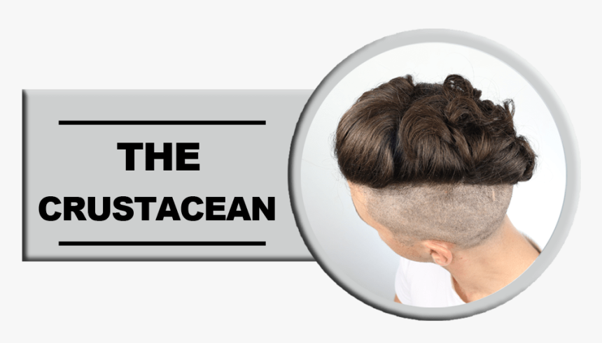 Mens Undercut Hairstyles - Lace Wig, HD Png Download