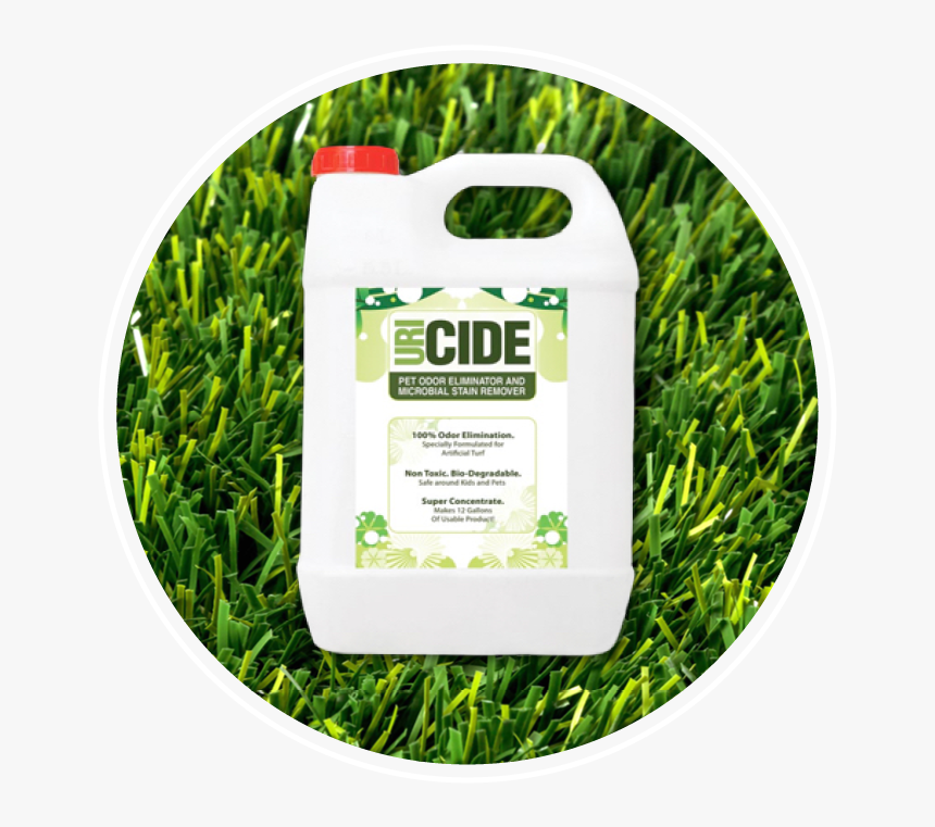 Uri-cide - Lawn, HD Png Download