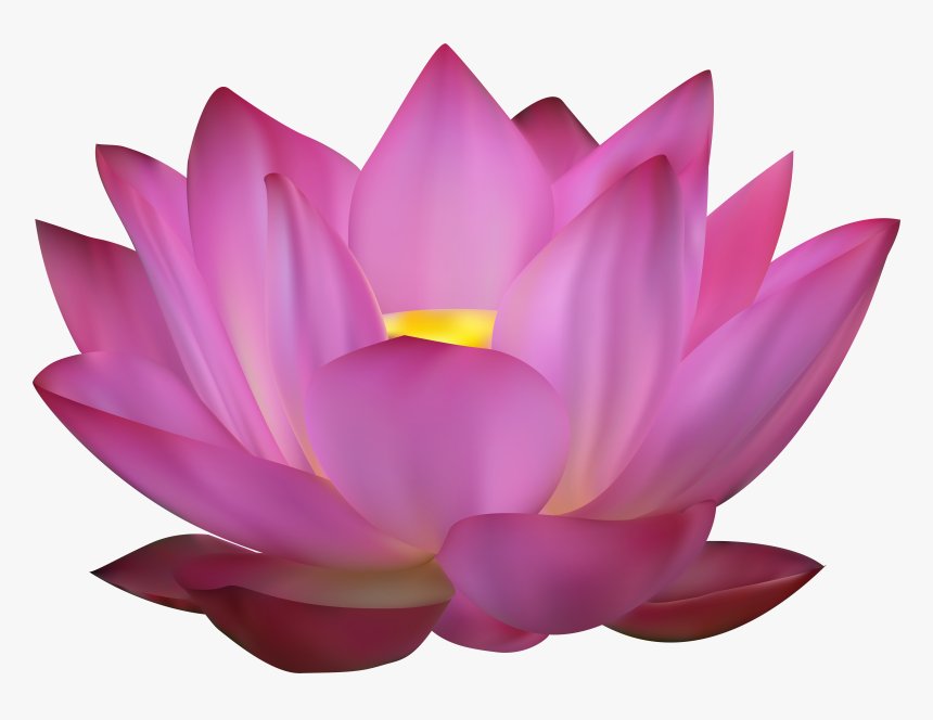 Flower Pink Lotus Png, Transparent Png