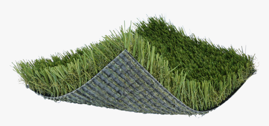 Carpet, HD Png Download