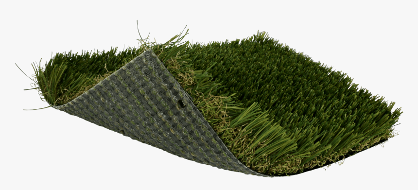 Sweet Grass, HD Png Download