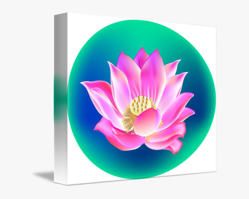 Clip Art Lotus Flower Pictures - Lotus Flower Clip Art, HD Png Download