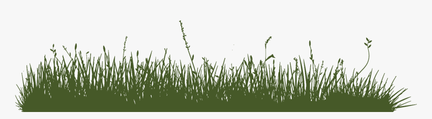 Sweet Grass, HD Png Download