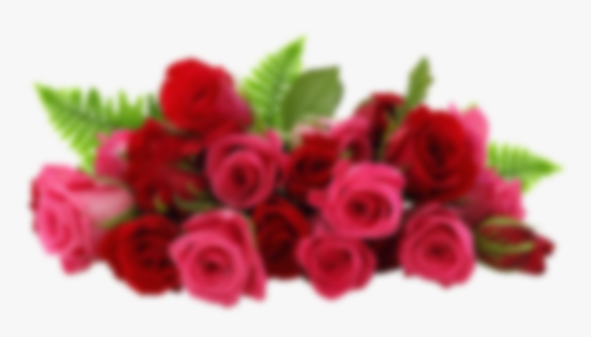 Red Rose Garden Transparent, HD Png Download