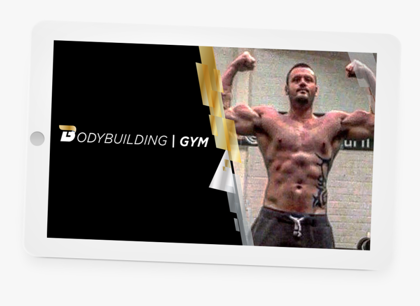 Florida Gators Softball, HD Png Download