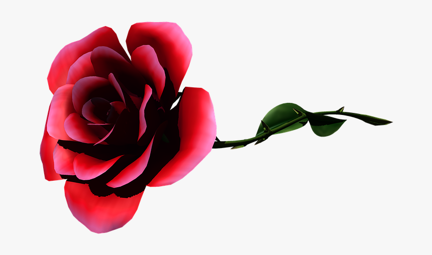 Rosa, Flower, Garden, Nature, Flowers, Bouquet, Plant - Png Rose Laying Down, Transparent Png