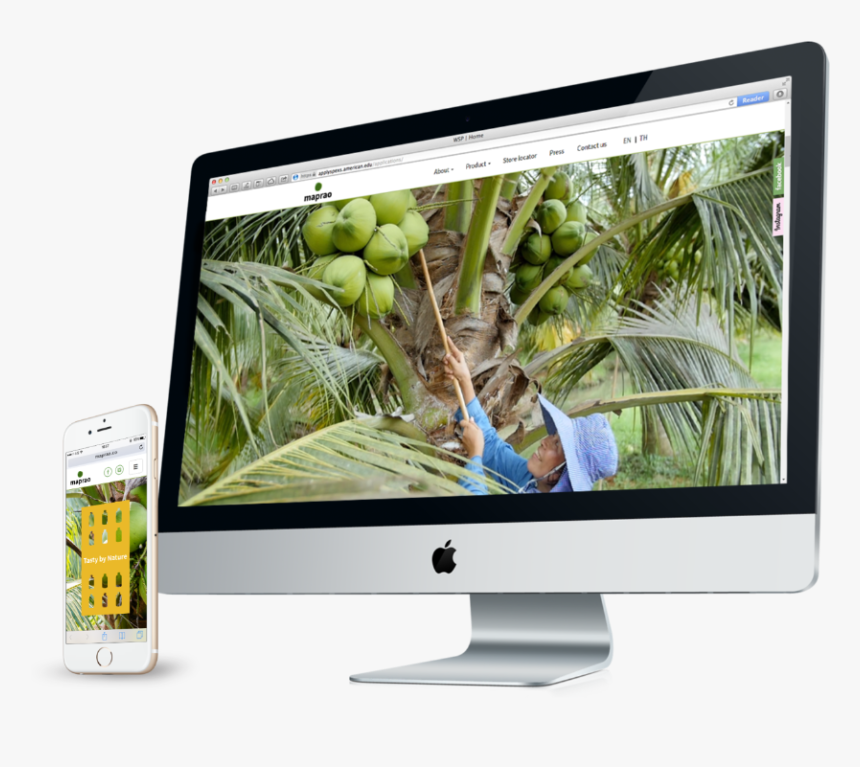 Computer Monitor, HD Png Download