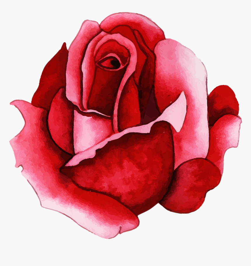 Floribunda, HD Png Download