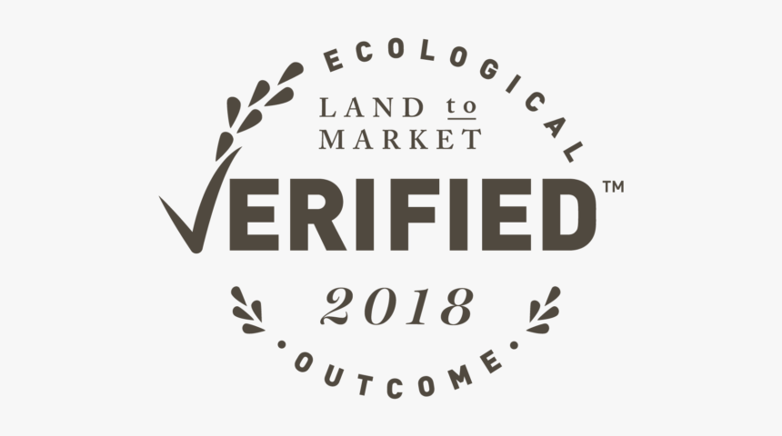 Calligraphy, HD Png Download