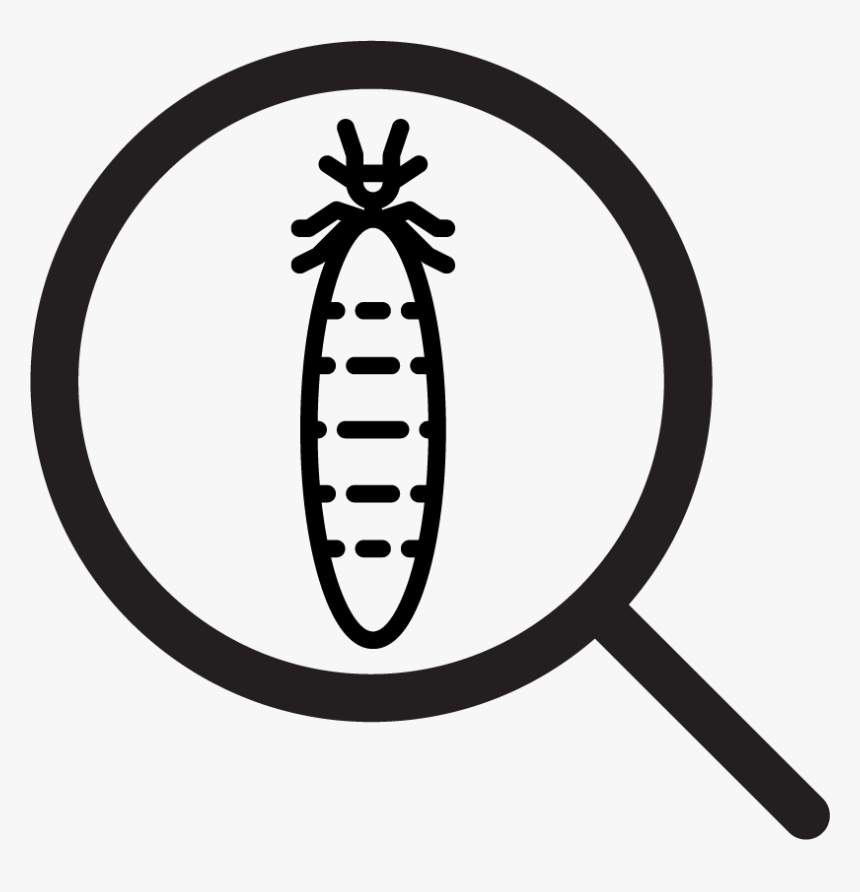 Nsw Sellers Icon - Termite, HD Png Download