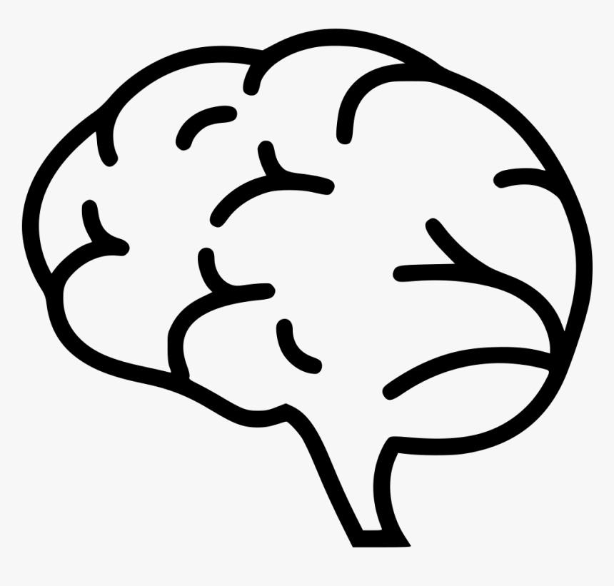 Brain - Brain Png Icon, Transparent Png