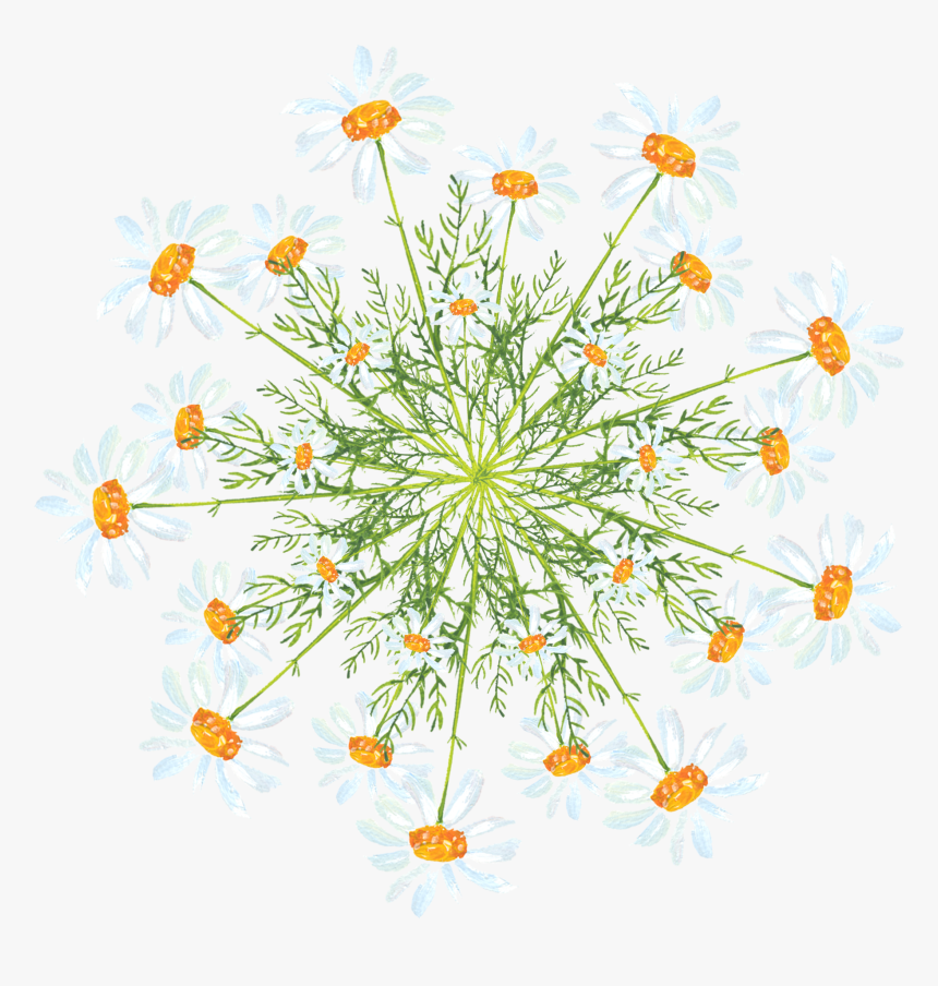 Simple Creative Watercolor Flower Decoration Png And - Watercolor Daisy Doodle Png, Transparent Png