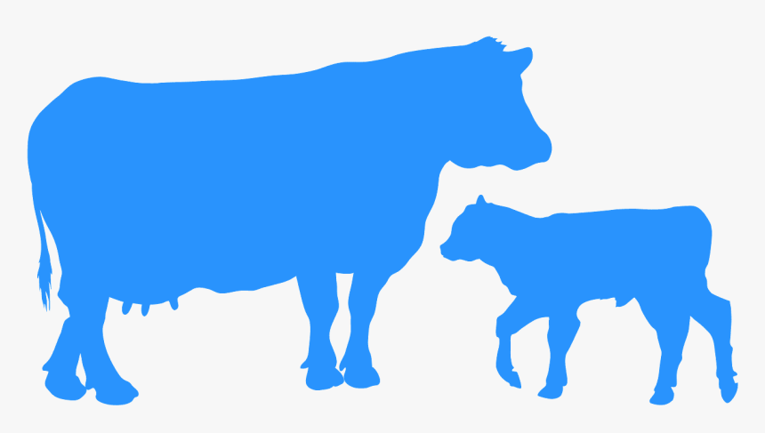 Cow And Calf Silhouette, HD Png Download