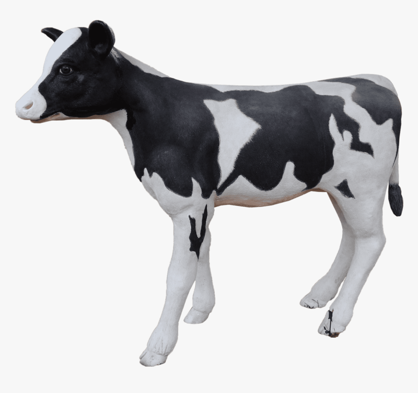 Cow Holstein Calf - Dairy Cow, HD Png Download